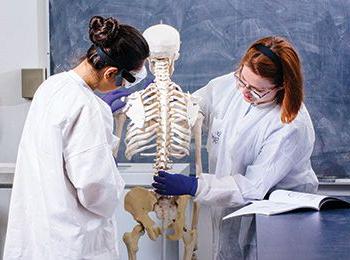 Student and faculty member looking a skeleton