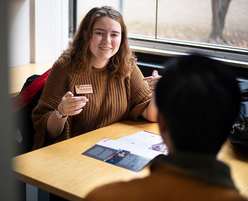 Counselor sitting at desk with student